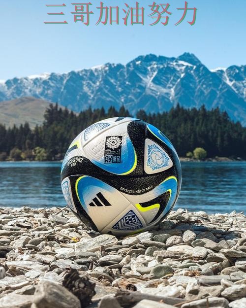 世界杯投注真实体验总结：平台可靠吗关键点解析（FIFA World Cup 2026）