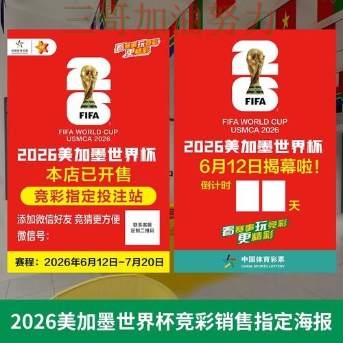 世界杯投注真实体验告诉你：入口在哪的正确方式（世界杯赛事中心）